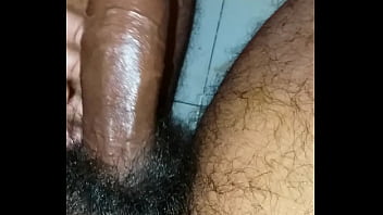 horse dick in my ass