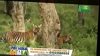 hindi oudio video
