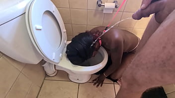 use toilet slave for scat