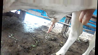 animaldog women xxx sex video