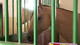 horse and girl ki chudai hd videos