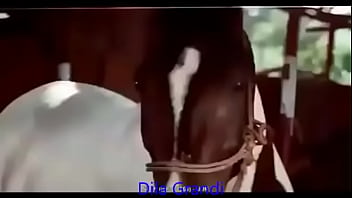 xxx heroin kajal ki video