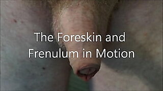 ginger foreskin