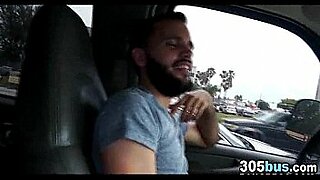 traffic junky gif videos